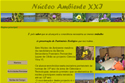 Web site do Núcleo Ambiente XXI